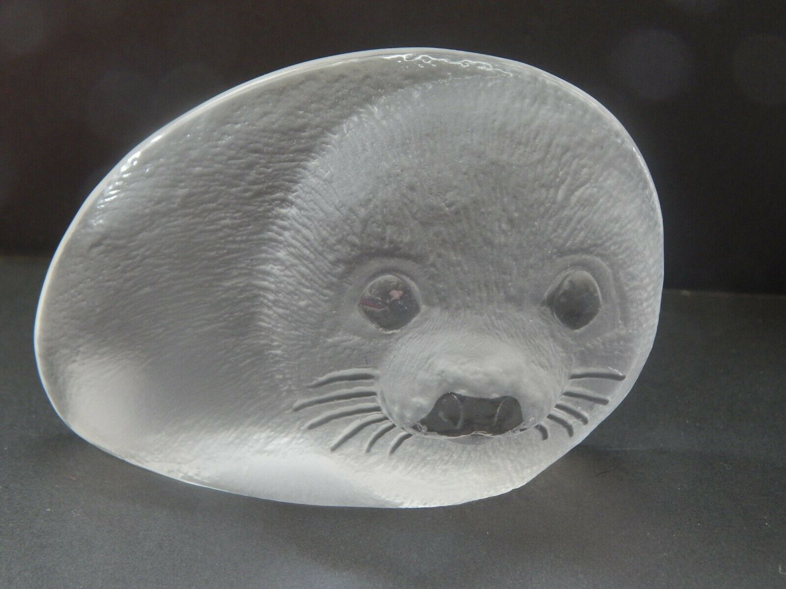 Crystal Baby Harp Seal By Mats Jonasson Wildlife